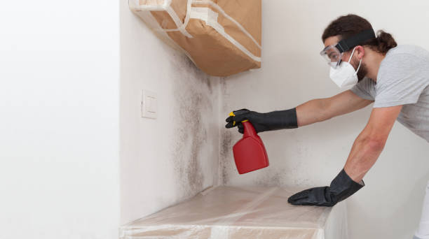 Professional Crawl Space Mold Remediation technician working in Capron, IL