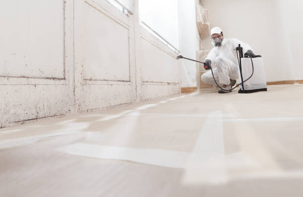 24/7 Emergency Crawl Space Mold Remediation experts in Capron, IL